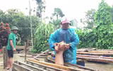 [ẢNH] Cuộc sống người dân Quảng Bình ảnh hưởng nặng nề do mưa lũ kéo dài